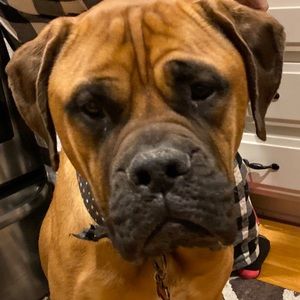 Meet your Posher, Travis